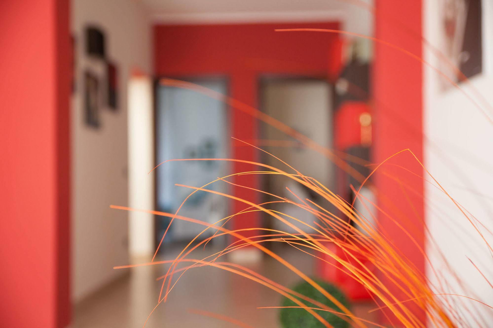 Rilievo Bianco Sale Trapani Bed & Breakfast エクステリア 写真